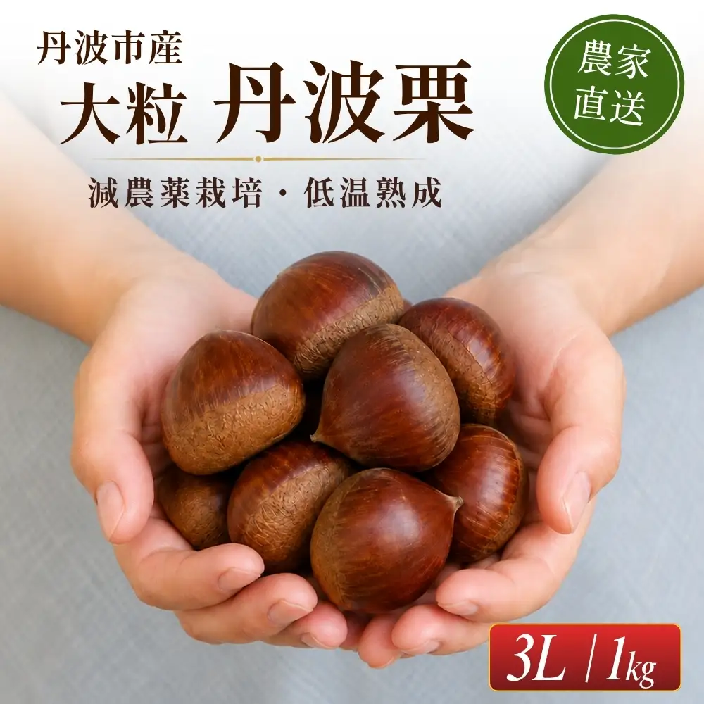 〈予約 期間限定〉熟成丹波栗 3L 1kg 栗