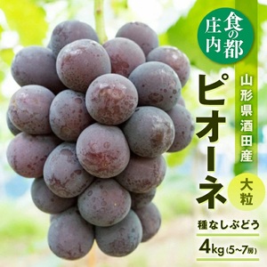SD0259　種なし大粒ぶどう　「ピオーネ」　約4kg(5～7房)