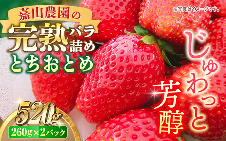 【先行予約】【数量限定200セット】嘉山農園の完熟バラ詰めいちご とちおとめ（260g×2パック）イチゴ 苺 フルーツ 果物 いちご【いちごはうす嘉山農園】 [AKCO002]
