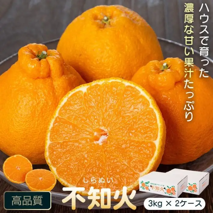 ＜先行予約＞ 不知火 しらぬい 計6kg 3kg×2ケース 国産 フルーツ みかん デコポン【JA鹿児島きもつき高山支所】A18008