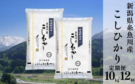 令和6年産新米【定期便】新潟県糸魚川産コシヒカリ 10kg(5kg×2)×12ヶ月 計120kg 名水と翡翠の郷 2024年産 堀敬商事【米 お米 白米 こめ コメ ご飯 精米 ライス ブランド米 こしひかり 新潟県 糸魚川 2024 米どころ新潟 食品 人気 おすすめ 5キロ 10キロ 12回 12か月 毎月お届け】堀敬商事(株)糸魚川営業所