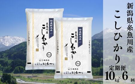 令和6年産新米【定期便】新潟県糸魚川産コシヒカリ 10kg(5kg×2)×6ヶ月 計60kg 名水と翡翠の郷 2024年産 堀敬商事【米 お米 白米 こめ コメ ご飯 精米 ライス ブランド米 こしひかり 新潟県 糸魚川 2024 米どころ新潟 食品 人気 おすすめ 5キロ 10キロ 6回 6か月 毎月お届け】堀敬商事(株)糸魚川営業所