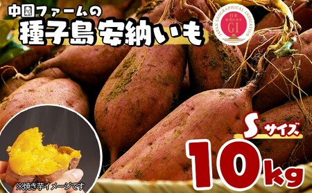 R8年産 種子島 中園ファーム 安納いも ( 生芋 ) S サイズ 10kg　NFN059【450pt】