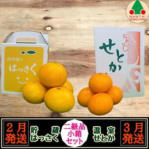 定期便 貯蔵 はっさく ＆ ハウス せとか 全2回 南泰園 二級品 小箱 セット みかん 14,000円