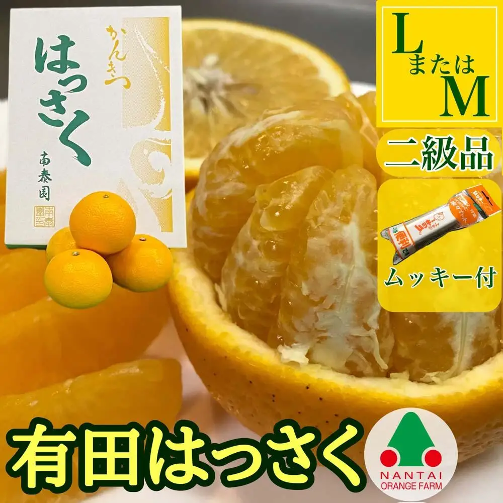 手詰め 有田 はっさく L × 8玉 または M × 10玉 サイズ ちょっと 傷あり ムッキー 同梱 南泰園 みかん