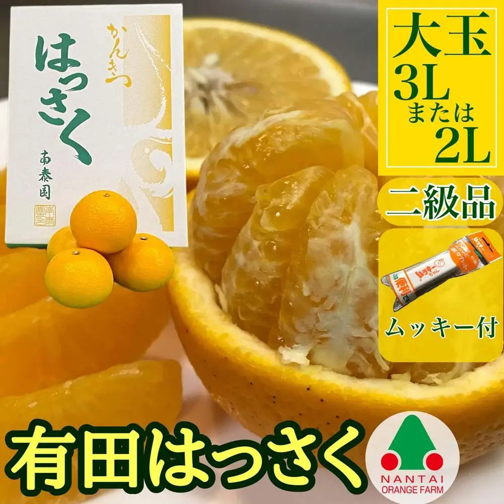 手詰め 有田 はっさく 大玉 3L × 6玉 または 2L × 7玉 ちょっと 傷あり ムッキー 同梱 南泰園 みかん