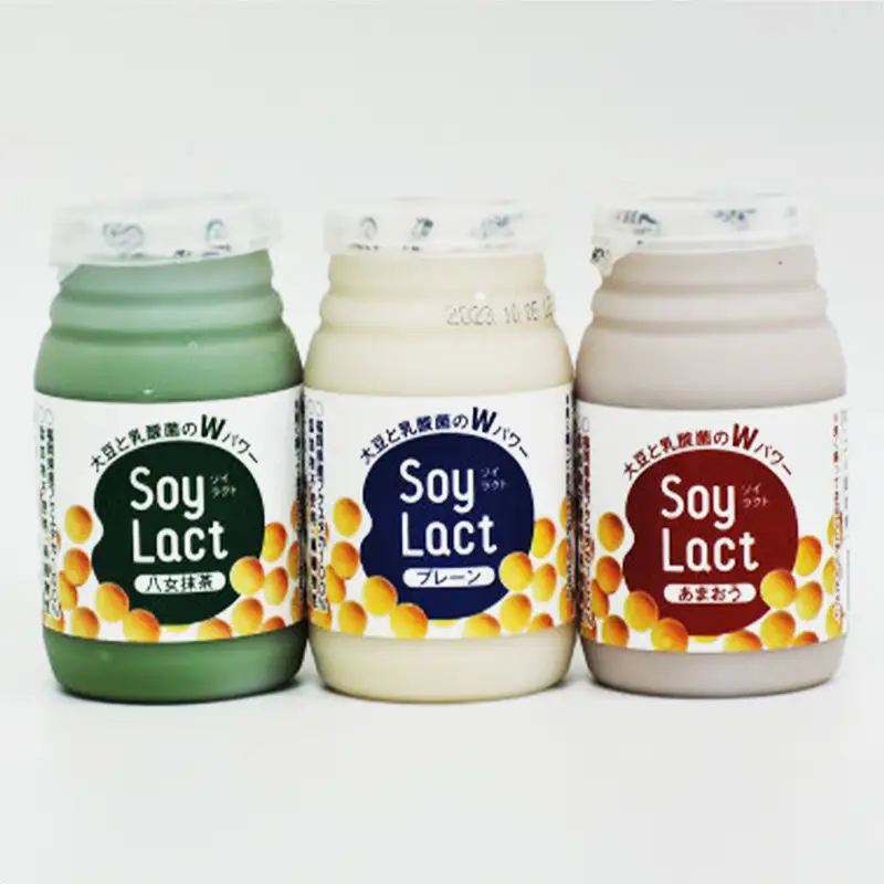 乳酸菌醗酵豆乳「ソイラクト」100ml×4本×3種（プレーン・あまおう・八女抹茶）【乳酸菌 醗酵 豆乳 大豆 ドリンク 飲料 ソフトドリンク 人気 おすすめ 送料無料 福岡県 筑前町 DS002】【202609】