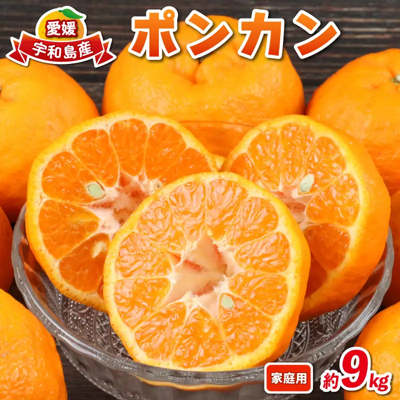 愛媛みかん ポンカン 9kg 家庭用 兵頭農園 ポンカン 甘い みかん B015-055003