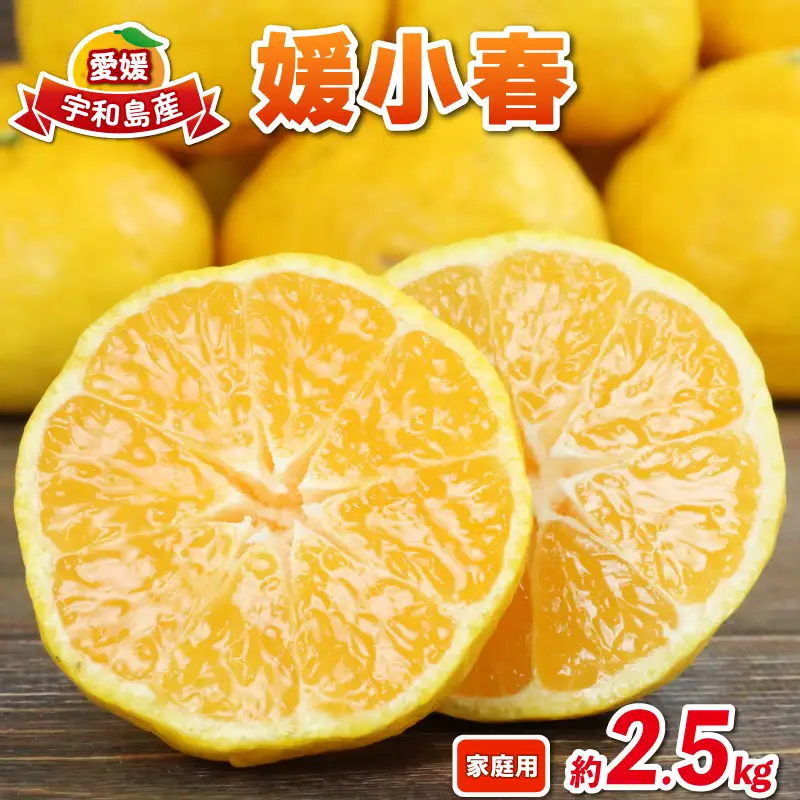 媛小春 2.5kg 柑橘 兵頭農園 柑橘 B010-055004