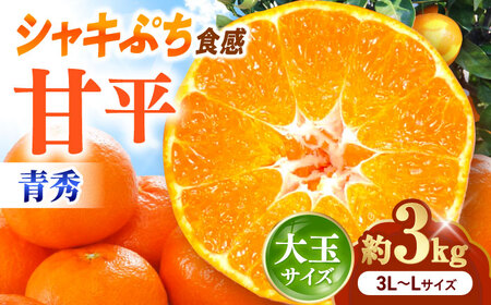 みかん 甘平 青秀 約3kg 3L-Lサイズ フルーツ 果物 みかん BJCG005