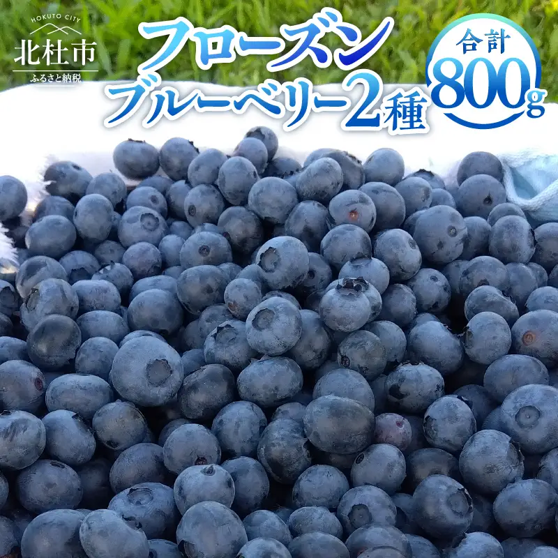 ビッグりサイズの『フローズンブルーベリー（冷凍ブルーベリー）』400g×2品種 [h245]