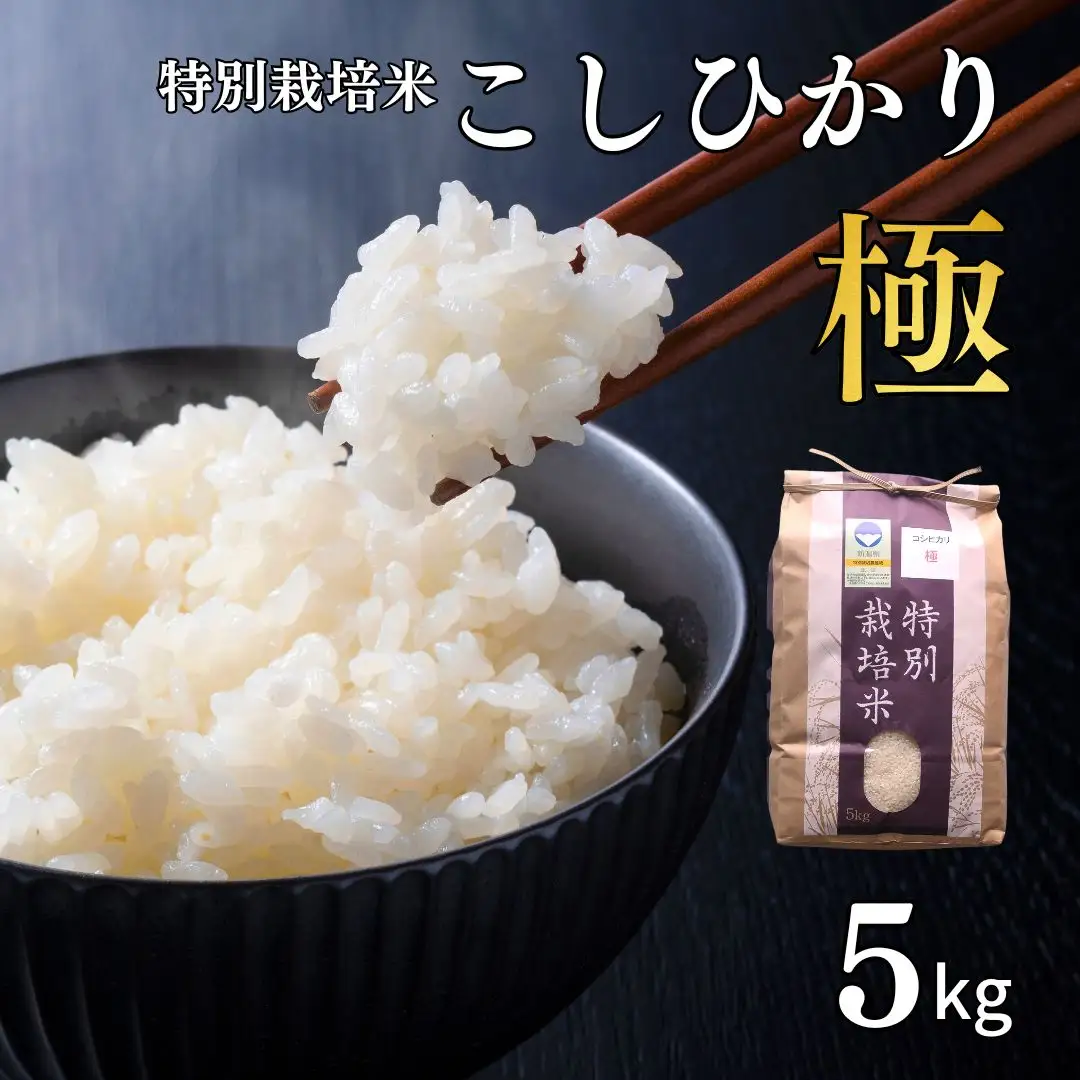 コシヒカリ 「極」 5kg 新潟県認証 特別栽培米 令和7年産 一等 コシヒカリ
