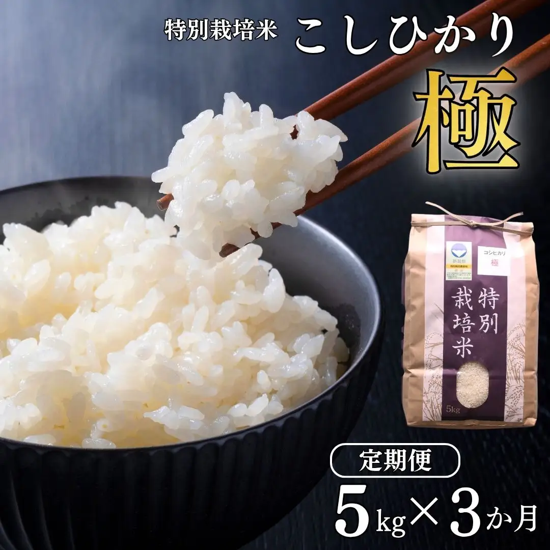 定期便 コシヒカリ極 5kg×3ヶ月 特別栽培米 令和8年 新潟県 三条市 アグリ巧房 コシヒカリ