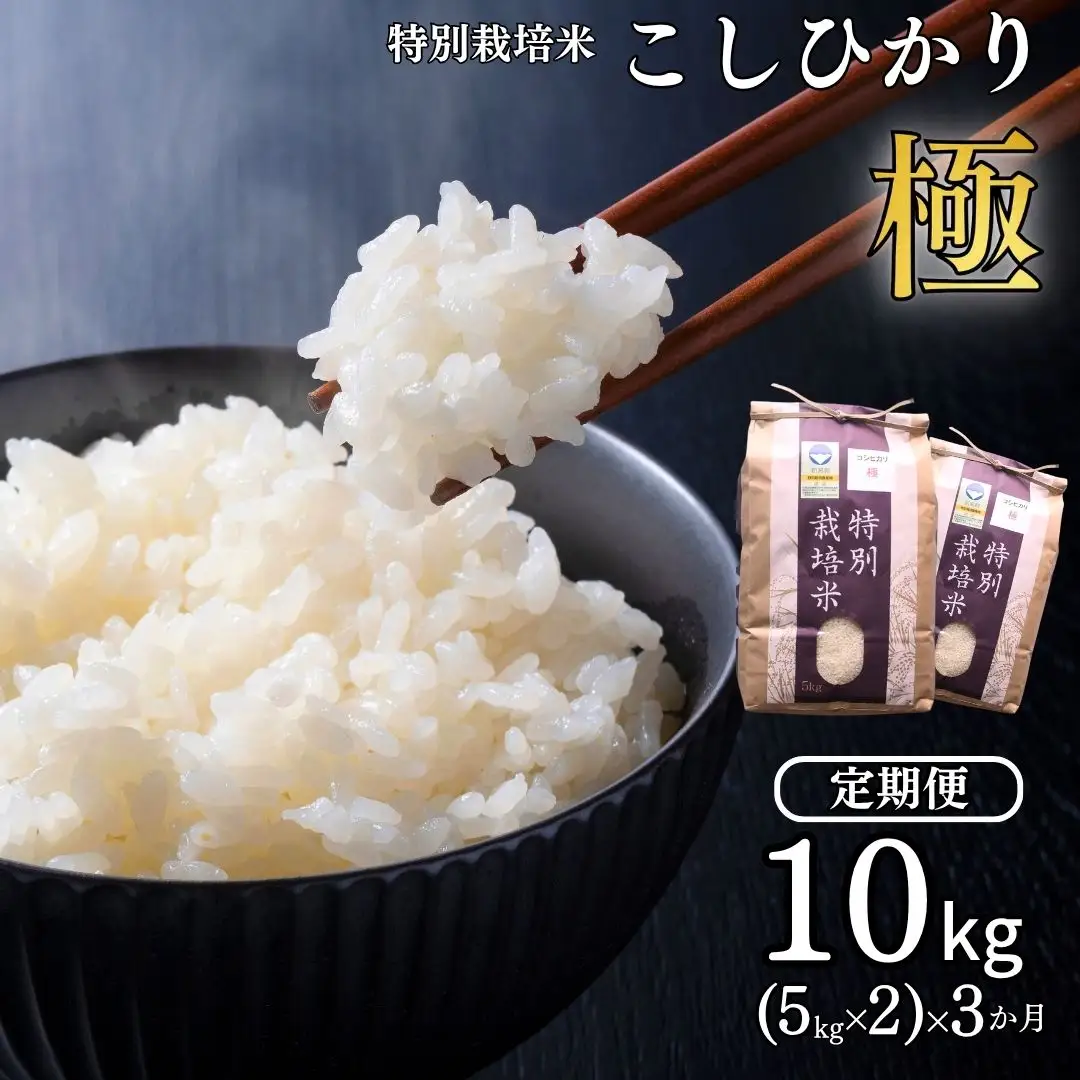 定期便 3ヵ月 コシヒカリ「極」10kg(5kg×2)×3ヶ月 特別栽培米 令和8年産 コシヒカリ 新潟県産 アグリ巧房