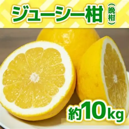 【2027年3月より順次発送】熊本県産　ジューシーオレンジ　約10kg(益城町)【1437713】