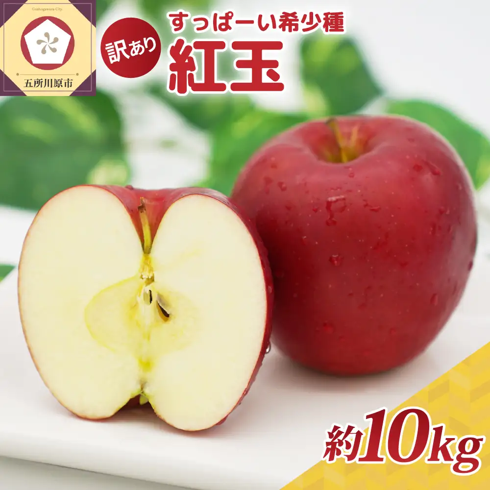紅玉　訳あり りんご 約10kg 青森県産 りんご