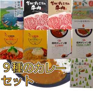 南信州仕立て9種のカレーセット