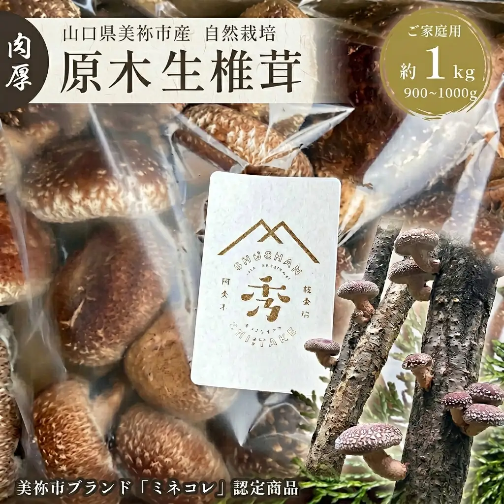 肉厚椎茸 原木生椎茸 (大きさ・種類いろいろ)