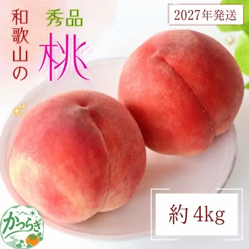 桃 【農園直送】朝採れ和歌山の桃　約4kg・秀品【2027年6月下旬～2027年8月上旬頃に順次発送予定】【TM168】【TM006-tec911B】