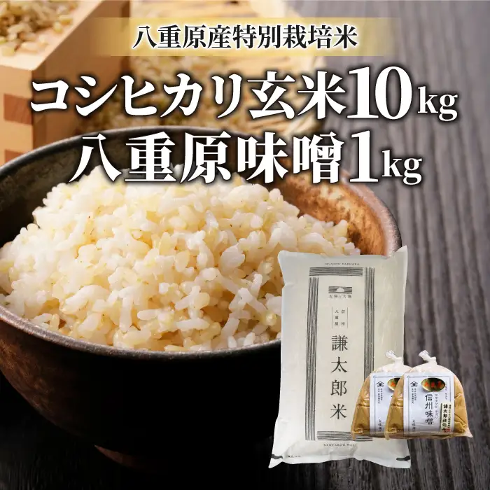 【令和8年産 新米】八重原産コシヒカリ 玄米「謙太郎米」10kgと 大桂商店 信州味噌「八重原味噌」1kg セット｜特別栽培米（減農薬・減化学肥料栽培）【太陽と大地】