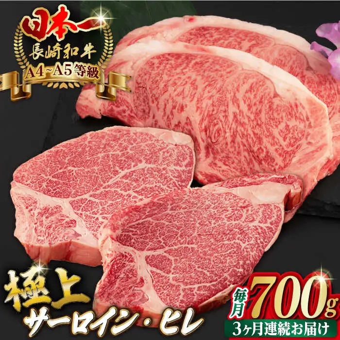 【全3回定期便】【二大高級部位！】サーロイン と ヒレ ステーキ 計700g （各4枚） 長崎和牛 A4?A5ランク 希少部位【野中精肉店】 [VF66] 肉 牛肉 赤身 サーロインステーキ ヒレステーキ 焼肉 定期便
