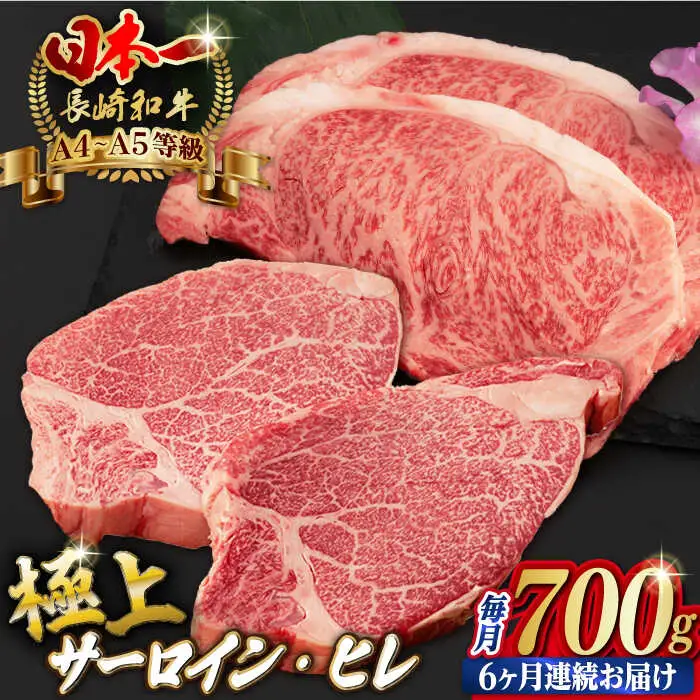 【全6回定期便】【二大高級部位！】サーロイン と ヒレ ステーキ 計700g （各4枚） 長崎和牛 A4?A5ランク 希少部位【野中精肉店】 [VF67] 肉 牛肉 赤身 サーロインステーキ ヒレステーキ 焼肉 定期便