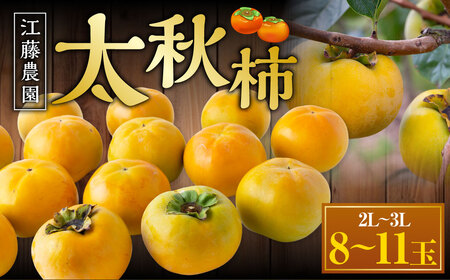 【先行予約】 江藤農園 太秋柿 （2Lから3L） 8玉から11玉 約3kg 【2026年10月下旬から11月上旬 出荷予定】