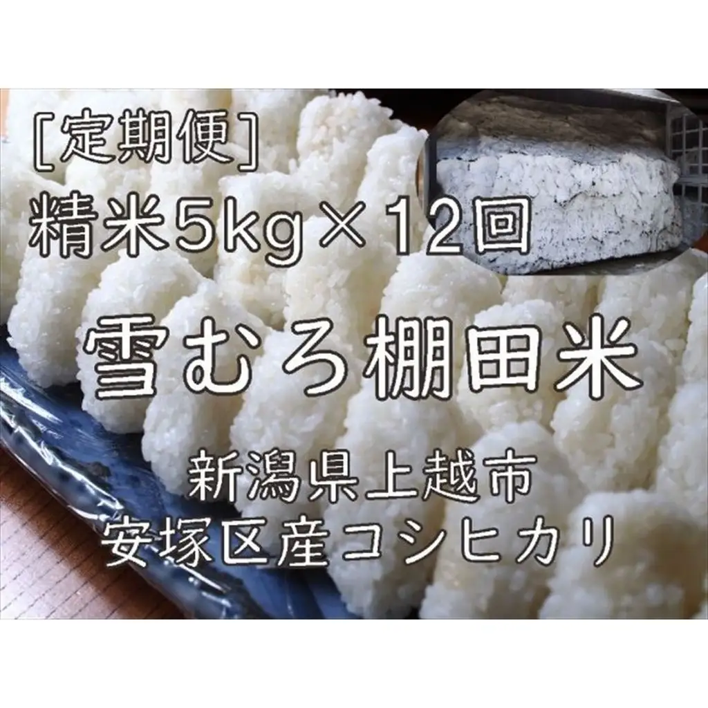 【定期便】棚田米 コシヒカリ 精白米 5kg×12回 コシヒカリ