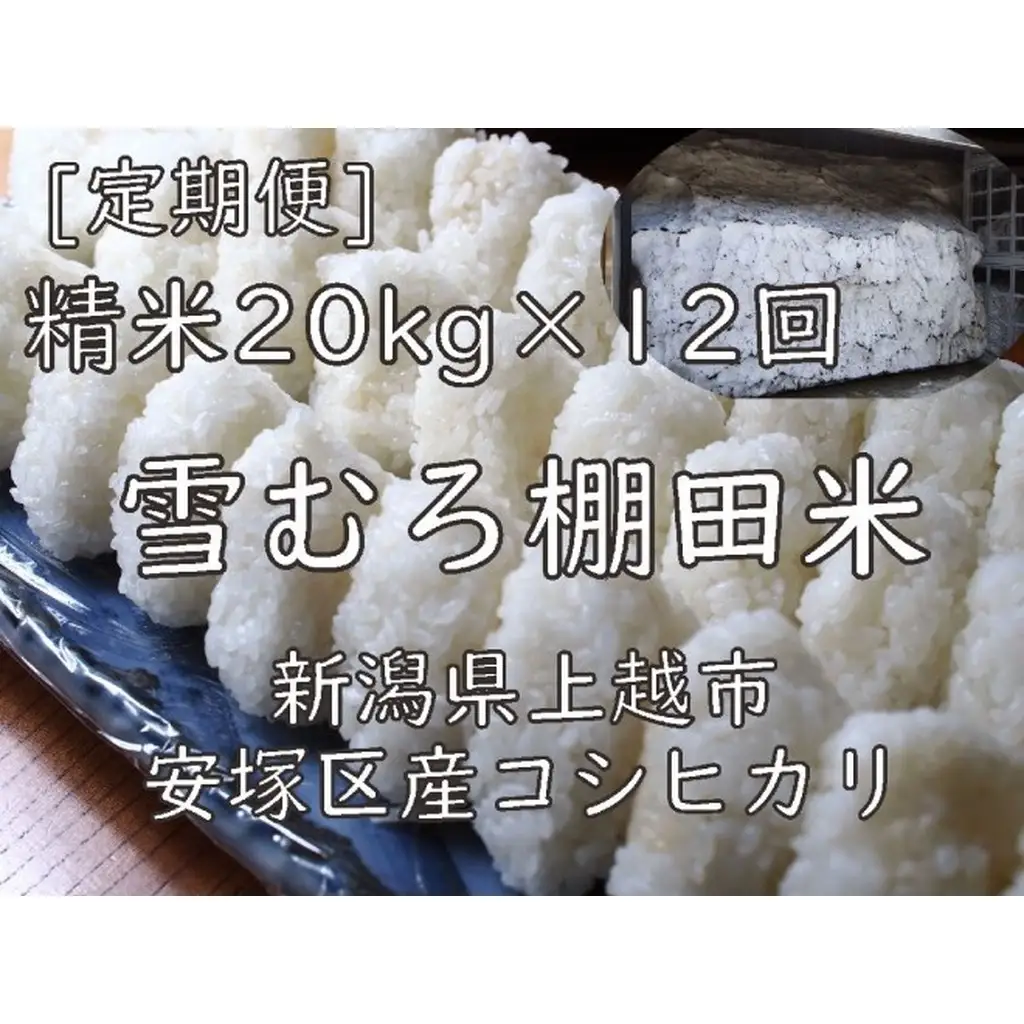 【定期便】棚田米 コシヒカリ 精白米 20kg×12回 コシヒカリ
