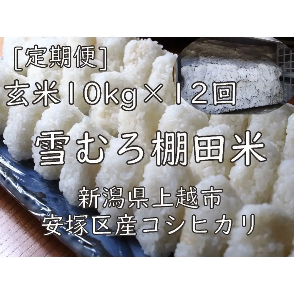【定期便】棚田米 コシヒカリ 玄米 10kg×12回 コシヒカリ