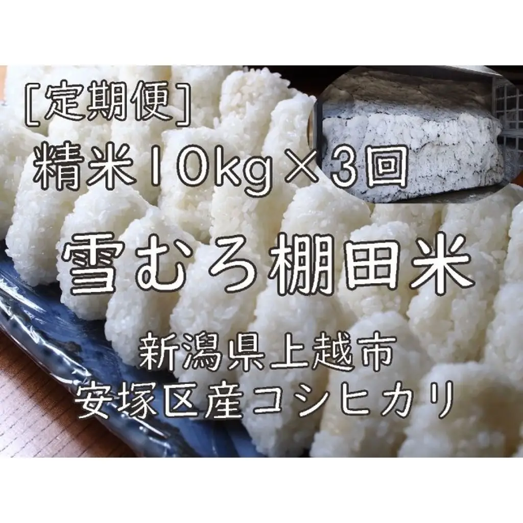 【定期便】棚田米 コシヒカリ 精白米 10kg×3回 コシヒカリ