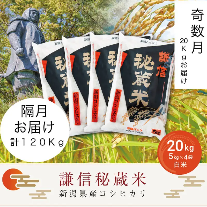 【奇数月発送】謙信秘蔵米 コシヒカリ 精米 20kg×6回 コシヒカリ