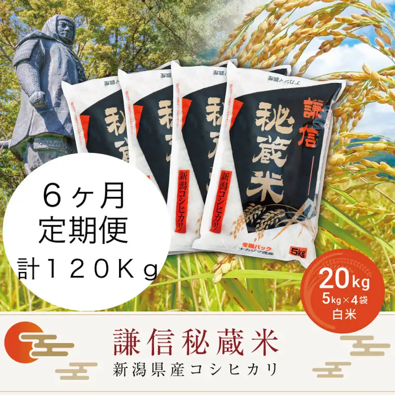 謙信秘蔵米 コシヒカリ 精米 20kg×6回 コシヒカリ