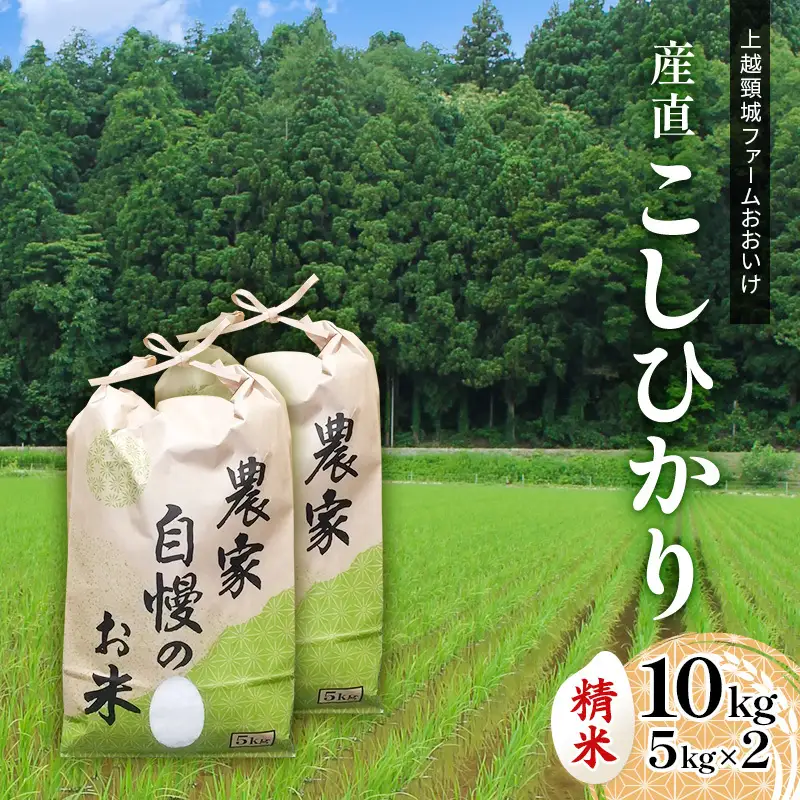 米 上越頸城産産直こしひかり精米5kg×2【産地限定】 お米 コメ 精米 上越 ぱるえむ