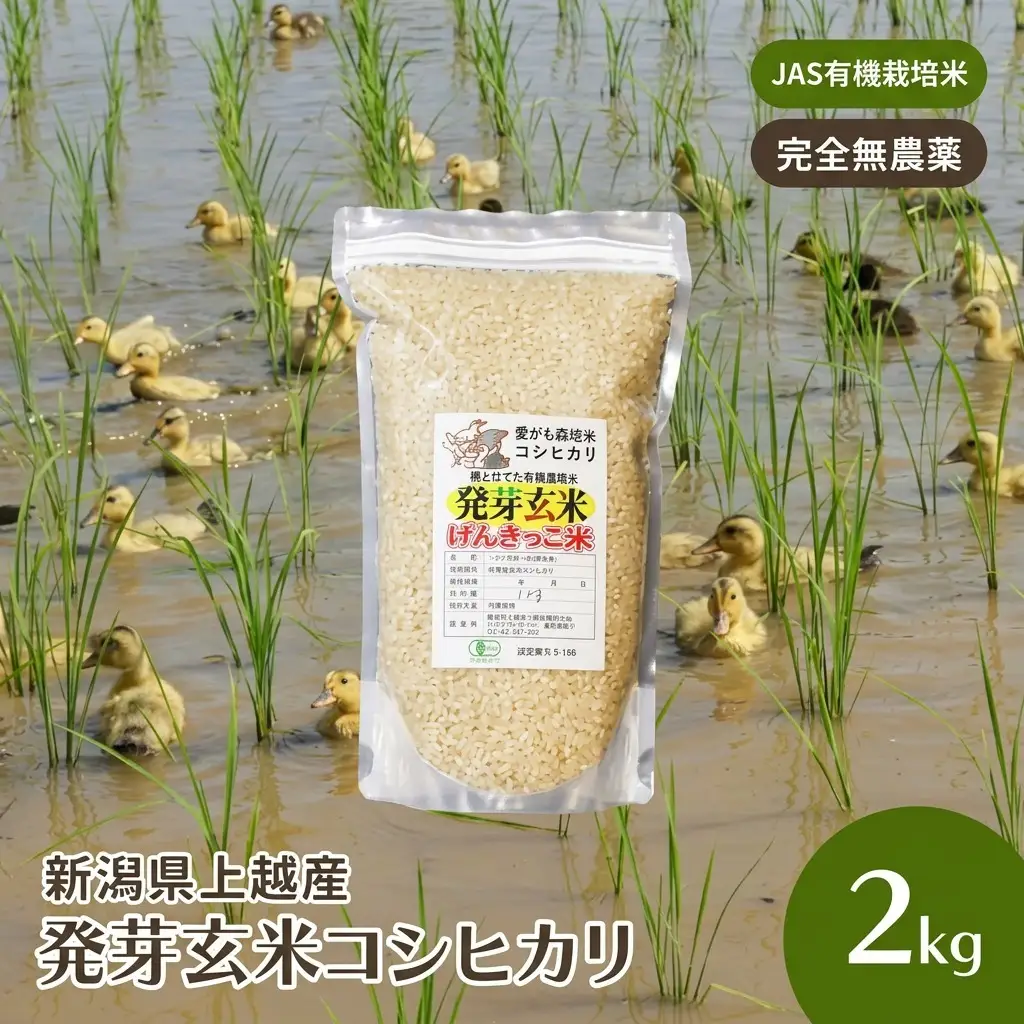 JAS 有機栽培 アイガモ農法 コシヒカリ 発芽玄米 2kg コシヒカリ 新潟