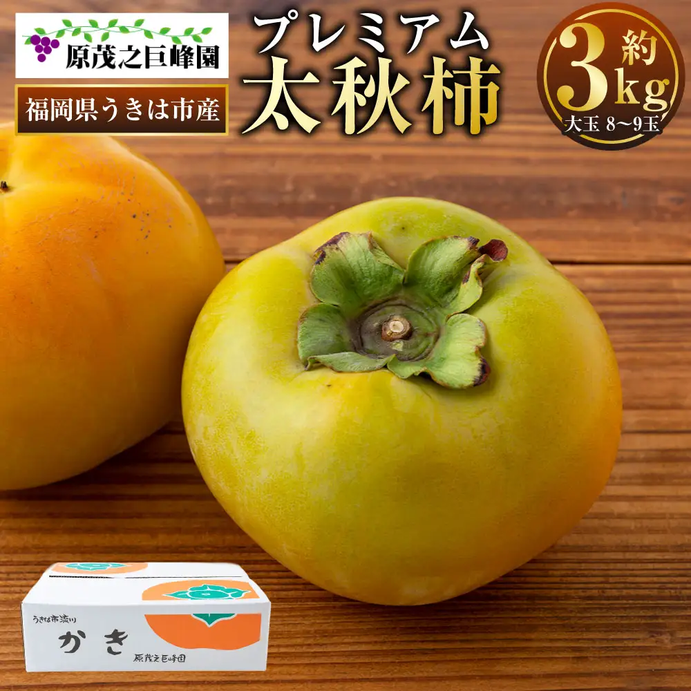 【先行予約】 原茂之巨峰園 プレミアム 太秋柿 大玉 8玉から9玉 （約3kg） 【2026年10月中旬から11月上旬 出荷予定】 柿 かき カキ 太秋 たいしゅう 完全甘柿 果物 くだもの フルーツ 果実 ジューシー 流川ブランド お取り寄せ 福岡県 うきは市