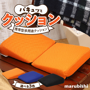 パキュッとクッション  機能性クッション 楽らくクッション 姿勢矯正 カラークッション 立体クッション [023M14]