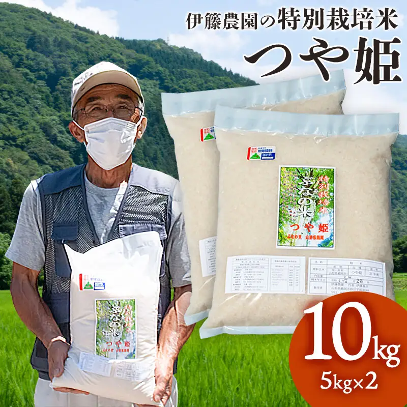 【令和7年産】特別栽培米 つや姫 10kg（5kg×2袋） 山形県鶴岡市  伊藤農園（伊藤嘉吉）　| つやひめ 10キロ 米 コメ こめ ブランド米 食品 ご飯 ごはん 美味しい おすすめ 人気 東北 国産 お取り寄せ 返礼品