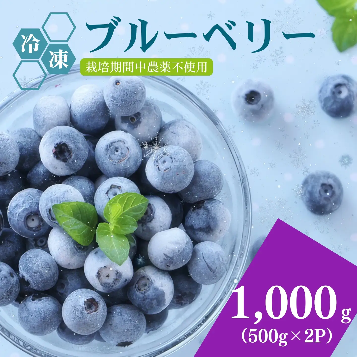 [A339-06] 冷凍ブルーベリー1000g（500g×2パック）2026年シルクファーム産