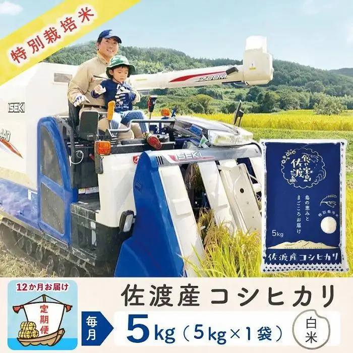 【令和8年産新米 12ヶ月】佐渡島産コシヒカリ 白米 5kg 特別栽培米
