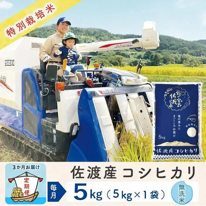 【令和8年産新米 3ヶ月】佐渡島産コシヒカリ 無洗米 5kg 特別栽培米