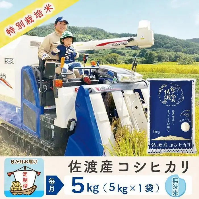 【令和8年産新米 6ヶ月】佐渡島産コシヒカリ 無洗米 5kg 特別栽培米