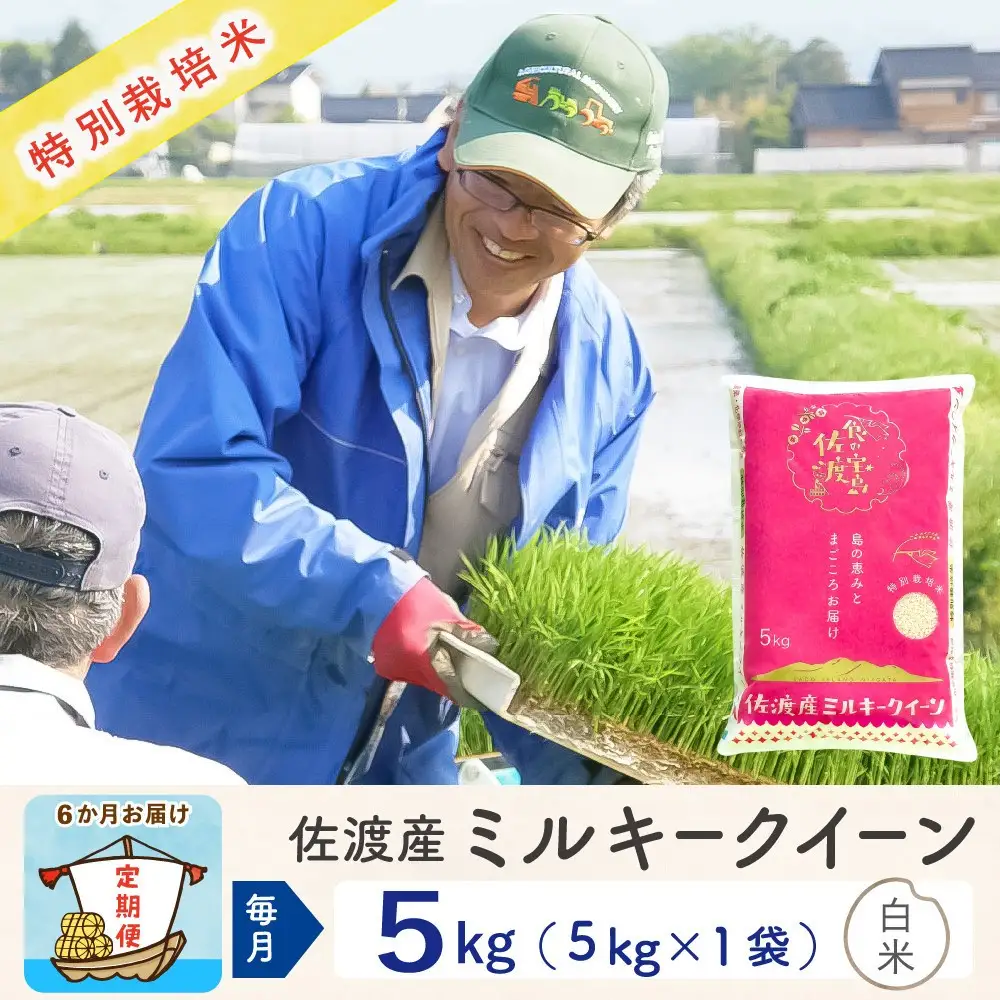 【令和8年産新米 6ヶ月】佐渡島産ミルキークイーン 精米 5kg 特別栽培米