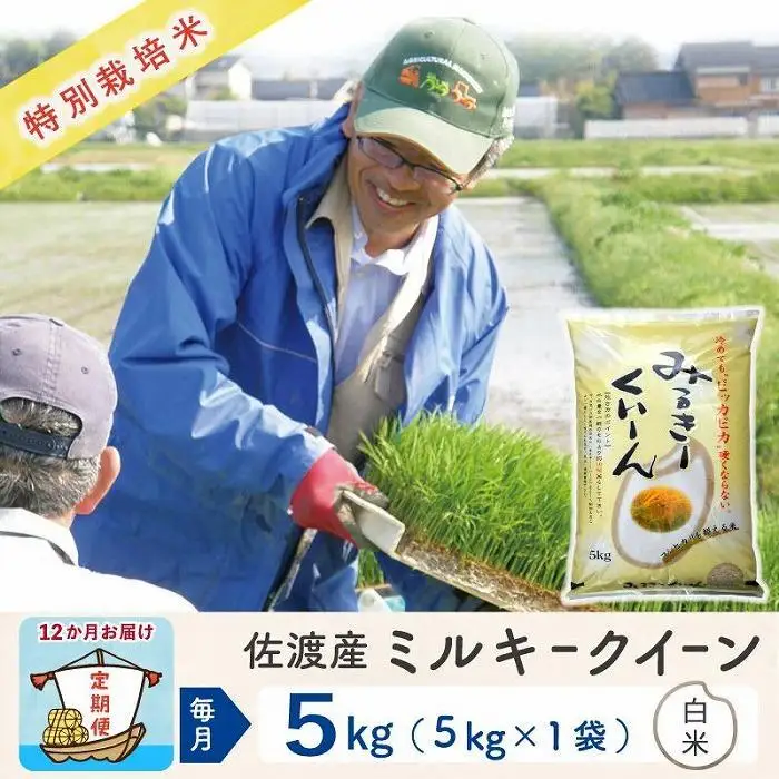 【令和8年産新米 12ヶ月】佐渡島産ミルキークイーン 白米 5kg 特別栽培米