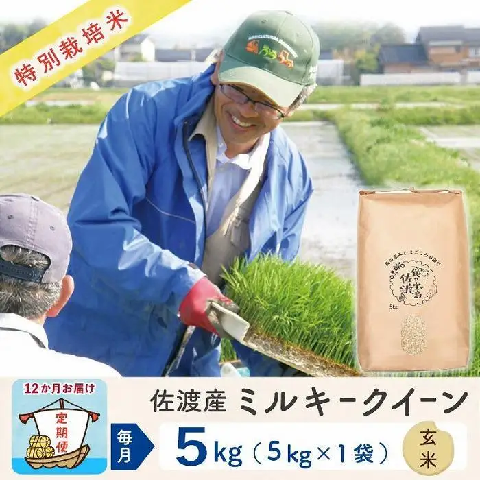 【令和8年産新米 12ヶ月】佐渡島産ミルキークイーン 玄米 5kg 特別栽培米