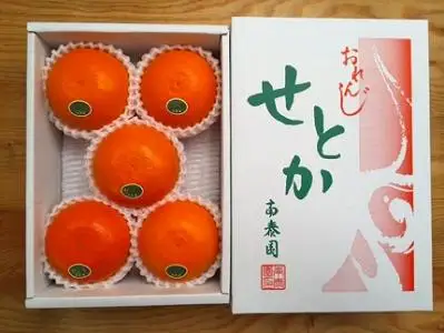 ハーフ 化粧箱 柑橘の大トロ ハウス せとか 厳選 5玉入 南泰園
