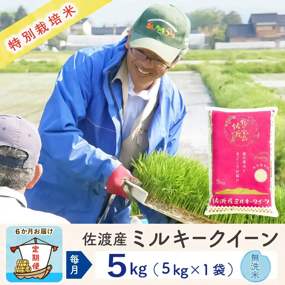 【令和8年産新米 6ヶ月】佐渡島産ミルキークイーン 無洗米 5kg 特別栽培米
