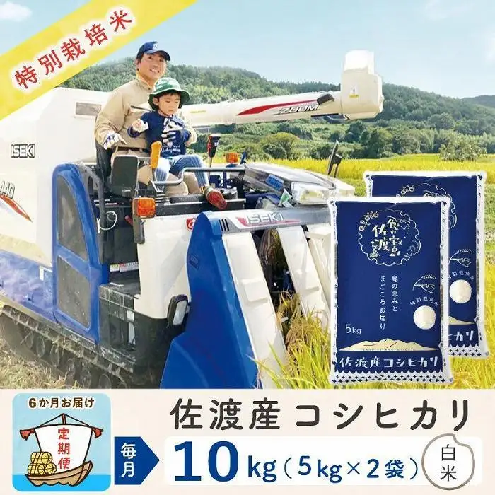 【令和8年産新米 6ヶ月】佐渡島産コシヒカリ 白米 10kg 特別栽培米
