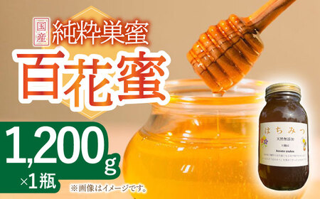 はちみつ 百花蜜 1.2kg/ 蜂蜜 国産 瓶 ビン 入り 長崎県 川棚町産 【小佐々養蜂場】 [OCY002] / 蜂蜜 国産 とんがり容器 入り 長崎県 川棚町産はちみつ 百花蜜 はちみつ スイーツ 甘味料 ハチミツ ハニー 蜂蜜