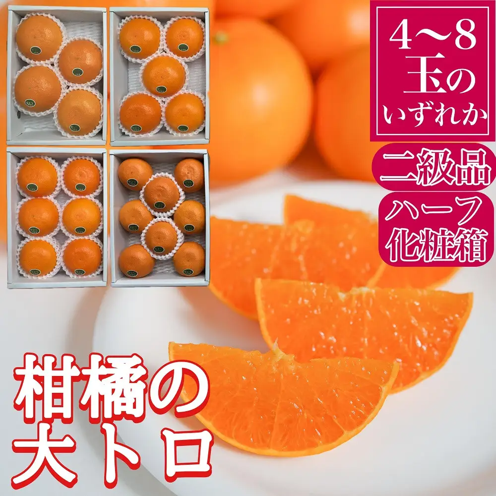 ちょっと 傷あり ハーフ 化粧箱 柑橘の大トロ ハウス せとか 4 ～ 8玉入 南泰園